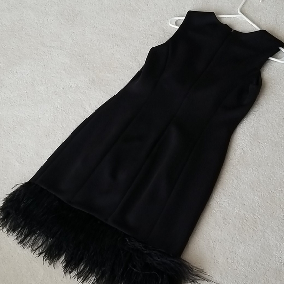 NWOT Fully lined real ostrich hem dress - Picture 4 of 5